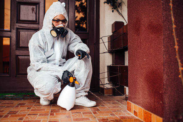 Reliable Mosquito Control contractor in Narragansett Pier, RI by Show Me Pest Control